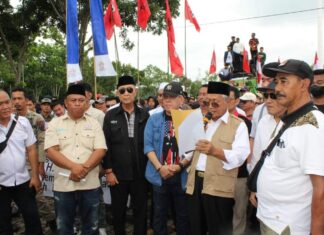 Mantan Wabup Banyuasin Merespon Pengkritik Kepemimpinan Pj Bupati