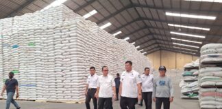 Pastikan Ketersediaan Stok Beras Aman di Banyuasin, Pj Bupati Sidak Gudang Beras