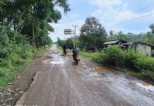 Sejumlah Kades Banyuasin III Keluhkan Jalan Rusak , Pj Bupati Banyuasin di Minta Perbaiki