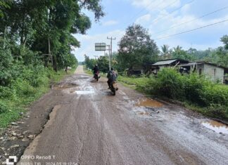 Sejumlah Kades Banyuasin III Keluhkan Jalan Rusak , Pj Bupati Banyuasin di Minta Perbaiki
