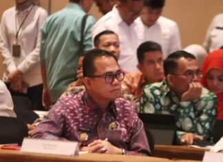 Usulan PJ Bupati Banyuasin untuk 5551 Formasi CPNS dan PPPK di Setujui Menpan-RB