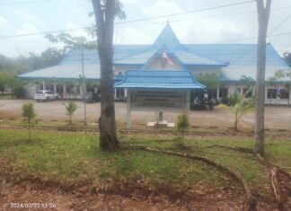 Dari 7086 Honorer di Banyuasin, Tersisa Ratusan Honorer yang tidak Masuk Database, Begini Respon Sekda