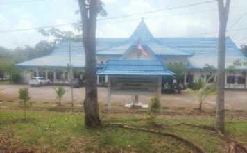 Dari 7086 Honorer di Banyuasin, Tersisa Ratusan Honorer yang tidak Masuk Database, Begini Respon Sekda