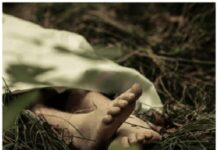 Polisi seldiki penemuan 2 mayat di kebun karet Suak Tapeh