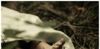 Polisi seldiki penemuan 2 mayat di kebun karet Suak Tapeh