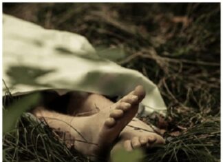 Polisi seldiki penemuan 2 mayat di kebun karet Suak Tapeh