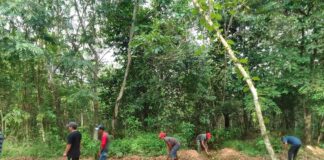 Burmawi : Tempuh Langkah Hukum