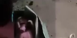 Warga Desa Perajen Banyuasin Digegerkan Penemuan Bayi Perempuan Dalam Kardus