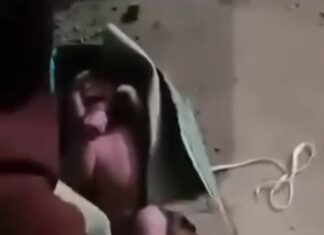 Warga Desa Perajen Banyuasin Digegerkan Penemuan Bayi Perempuan Dalam Kardus