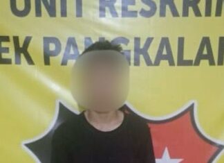 Polsek Pangkalan Balai tangkap Pelaku Pencurian di Toko Azhar Pulsa