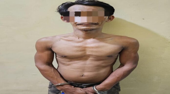 Tiga maling sawit diamankan polisi