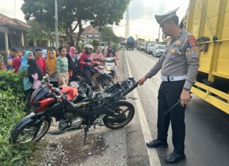 Satu Orang Tewas Kecelakaan Maut di Jalintim Palembang-Betung KM 55, 3 Motor VS Truck Box