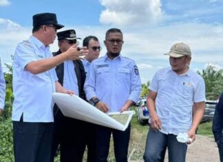 Bersama PUPR dan OPD Lainnya, Pj. Bupati Banyuasin M. Farid Tinjau Lokasi Bakal Pabrik CCO