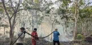 Posko Terpadu 05 Banyu Urip Tanjung Lago Melakukan Pemadaman Karhutla di Talang Kelapa