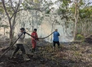 Posko Terpadu 05 Banyu Urip Tanjung Lago Melakukan Pemadaman Karhutla di Talang Kelapa