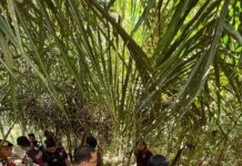 Kampung Narkoba di Desa Taja Mulya dan Taja Raya II Digrebek Polisi