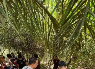 Kampung Narkoba di Desa Taja Mulya dan Taja Raya II Digrebek Polisi