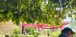 Kasat Pol PP Banyuasin Sebut Penempatan Petugasnya di Mes Untuk Menjaga Aset Bukan Jaga Motor