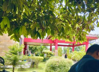 Kasat Pol PP Banyuasin Sebut Penempatan Petugasnya di Mes Untuk Menjaga Aset Bukan Jaga Motor