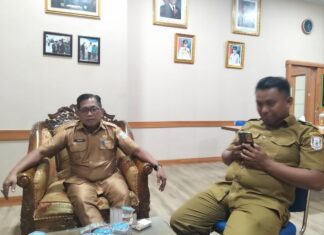 Posisi Kedua Nasional Lumbung Pangan, Banyuasin Siapkan Cetak Sawah Capai Target Nomor 1