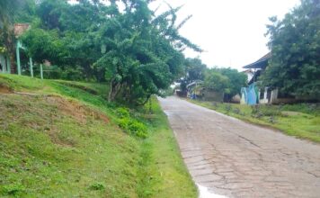 Warga Desa Lubuk Saung Minta Pemdes Perbaiki Siring yang Tersumbat